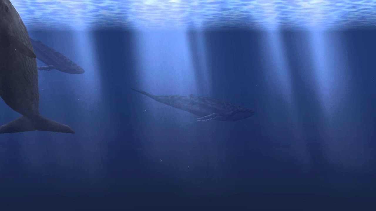 昼寝・仮眠用アラーム鯨 15分版 （15min later Alarm for Napping)