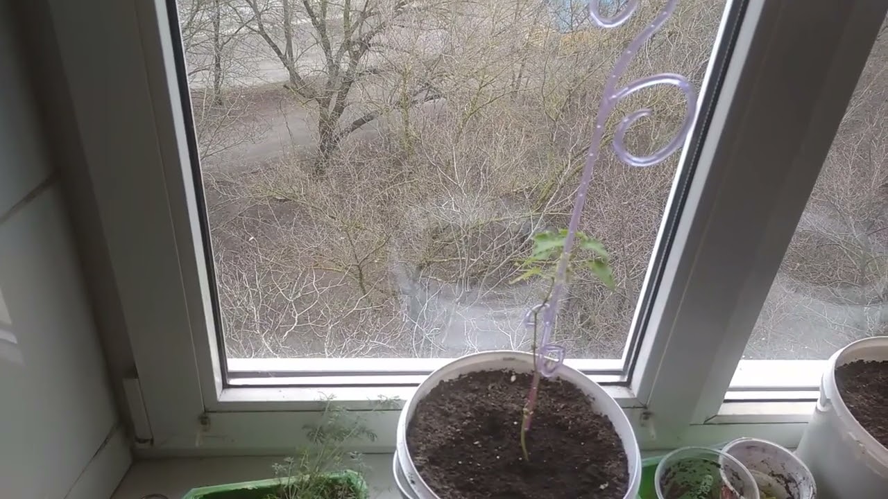 ЗАПОРОЖЬЕ НАРОД БОИТСЯ И НЕ ХОЧЕТ ХУЖЕ ТОЛЬКО БУДЕТ 25.02.26