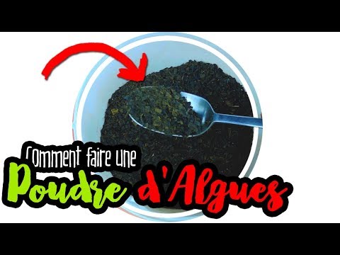 🌿 +💧Comment faire une poudre d&rsquo;Algues