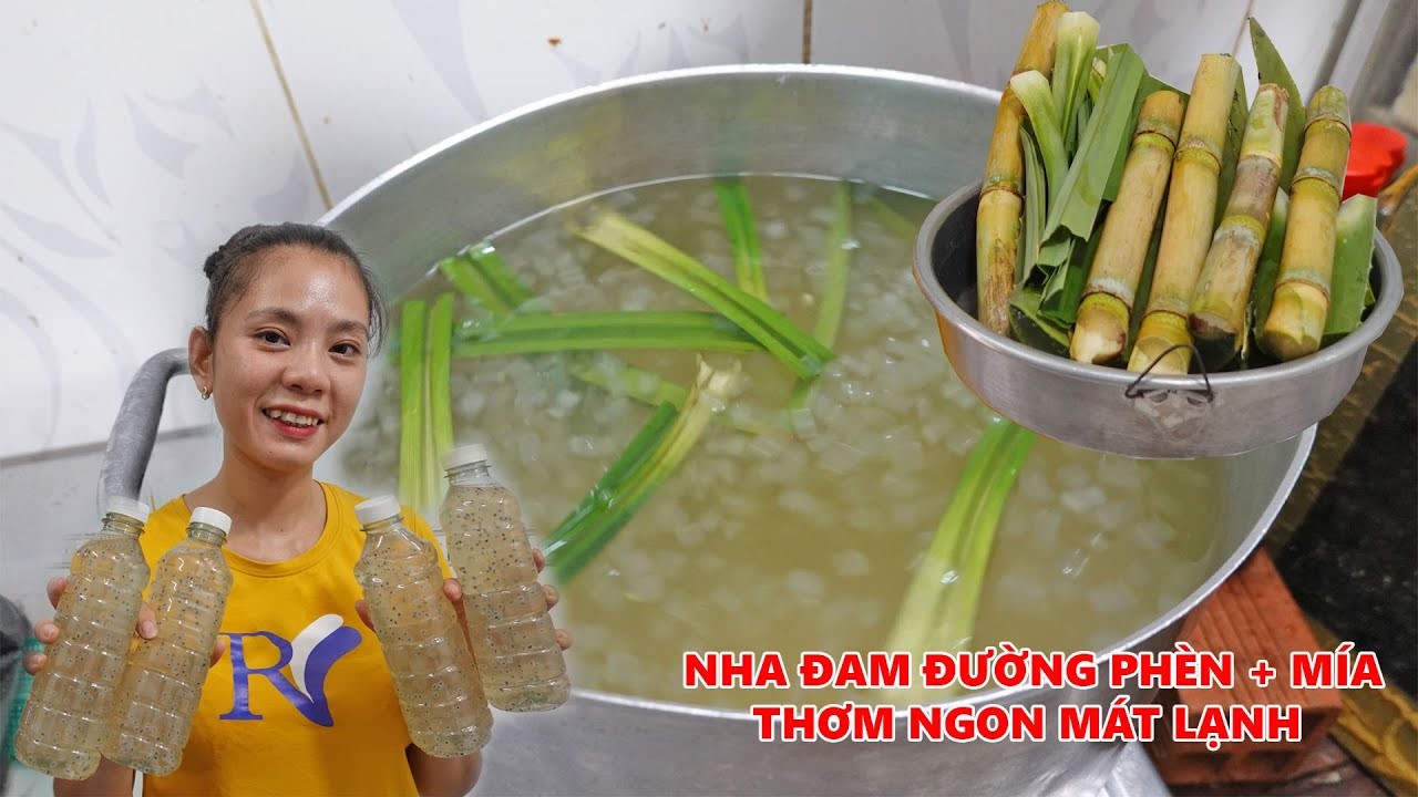 Hướng dẫn Cách nấu nha đam – Thời tiết nắng nóng nấu NHA ĐAM ĐƯỜNG PHÈN THÊM MÍA thơm ngon mát lạnh đánh tan cơn nóng