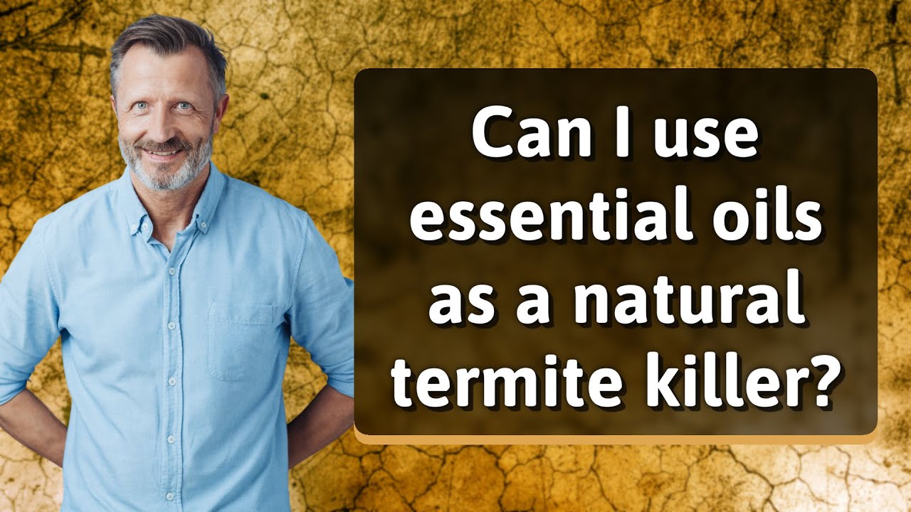 Can I use essential oils as a natural termite killer?