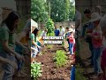 Community Voices for Sustainable Living