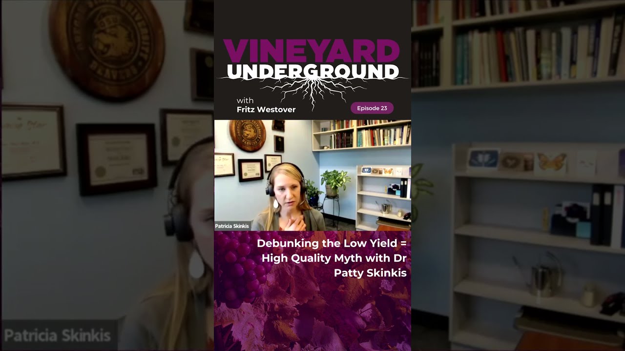 Debunking The Low Yield High Quality Myth