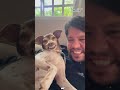 #funny #dog #funnydog