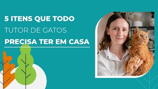 5 itens essenciais para quem tem gato