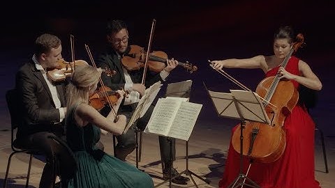 Edvard Grieg - String Quartet in g minor op. 27 - Nordic String Quartet (HD)