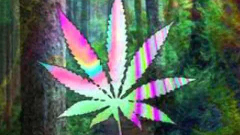 Smokin On Dro - Zeeb N Mike D -