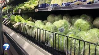 Cyclospora: How to protect your children | WHIO TV