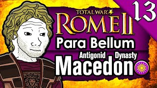 MACEDON RIDES INTO PERSIA! 🐎⚔️ Total War Rome 2 Para Bellum Macedon Antigonid Dynasty Campaign #13