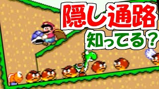 ほとんどの人が知らないボス部屋の隠し通路⁉︎ "29年前のマリオ" を最高に楽しむ男【スーパーマリオワールド#2】