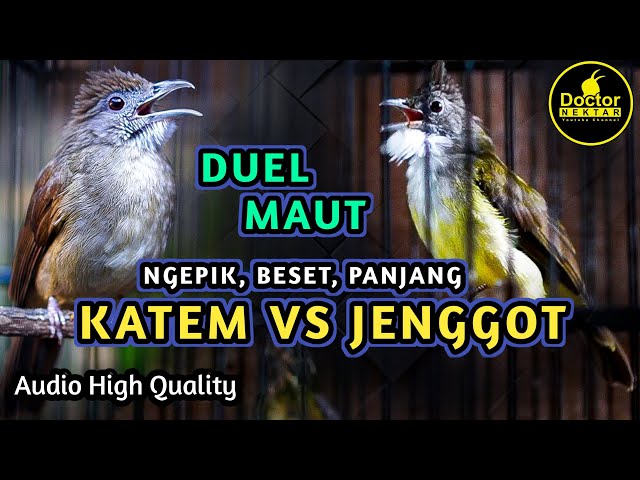 KAPAS TEMBAK VS CUCAK JENGGOT TEMBAKAN DAN BESETAN PANJANG NGEPIK COCOK BUAT MASTERAN SEGALA BURUNG class=