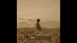 Mayabee মযব Lofi Bangla Whatsapp Status.