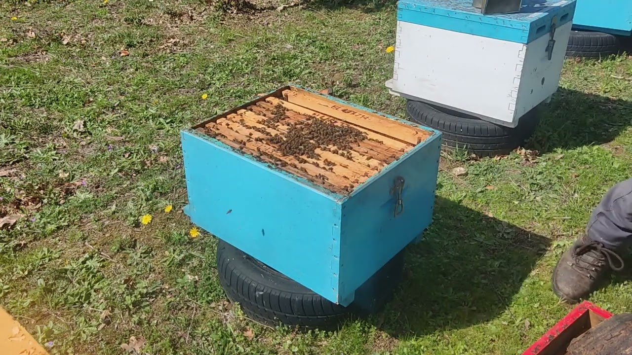 Μύρισε άνοιξη!! 10 Μαρτίου