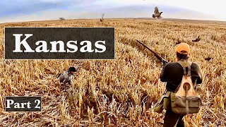 Kansas Quail and Pheasant 2021 part 2