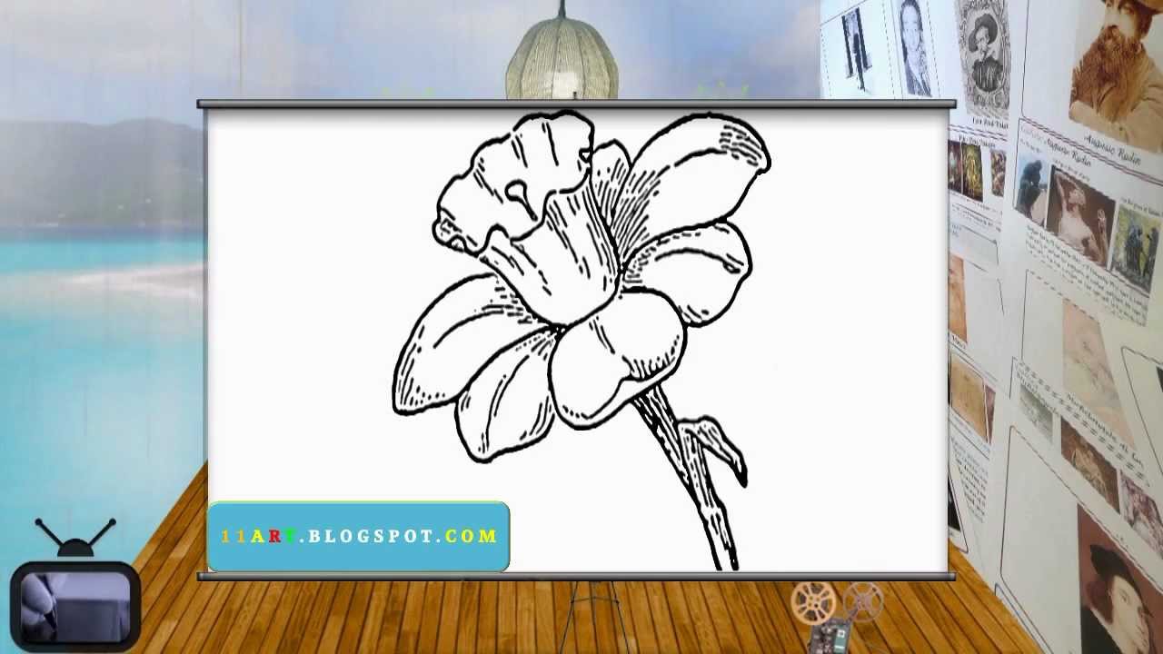 How to draw Daffodils - Easy Daffodil Drawing - Sketch ...