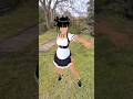 VRoid Anime GARDEN PARTY 🥳 GREASE LIGHTING: #quest3 #virtualreality VR/MR #animation #anime