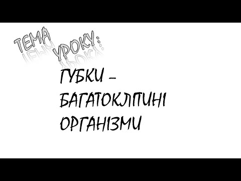 ГУБКИ - БАГАТОКЛІТИННІ ОРГАНІЗМИ