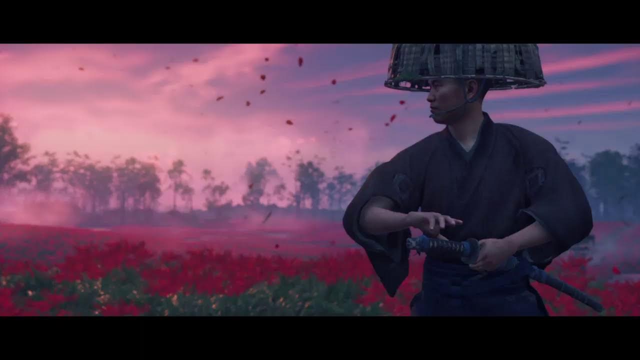 Найдите убийц из соломенных шляп в тоетаме призрак цусимы карта