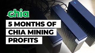 5 months of Chia mining profits - 50TB