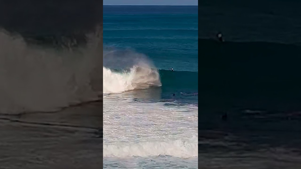 Clips