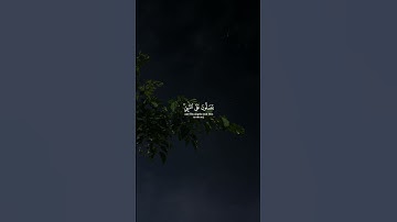 أَترُك أثر طيبًا تؤجَر عليه 🤍 #قرآن #quran #اكسبلور #explore #قران_كريم #سورة_الأحزاب #ياسر_الدوسري