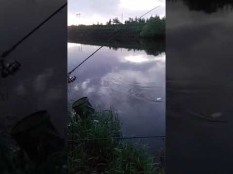 Весенняя рыбалка на пахре Весенняя рыбалка на пахре