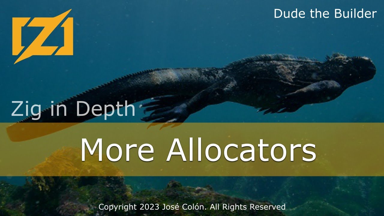 Zig in Depth: More Allocators