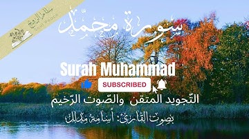 بصوت ملامس للقلب افلا يتدبرون #القرآن ! سورة #محمد  #اكسبلور