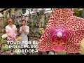 Cuidados, consejos de Orquideas y Tour por el Orquideario Córdoba