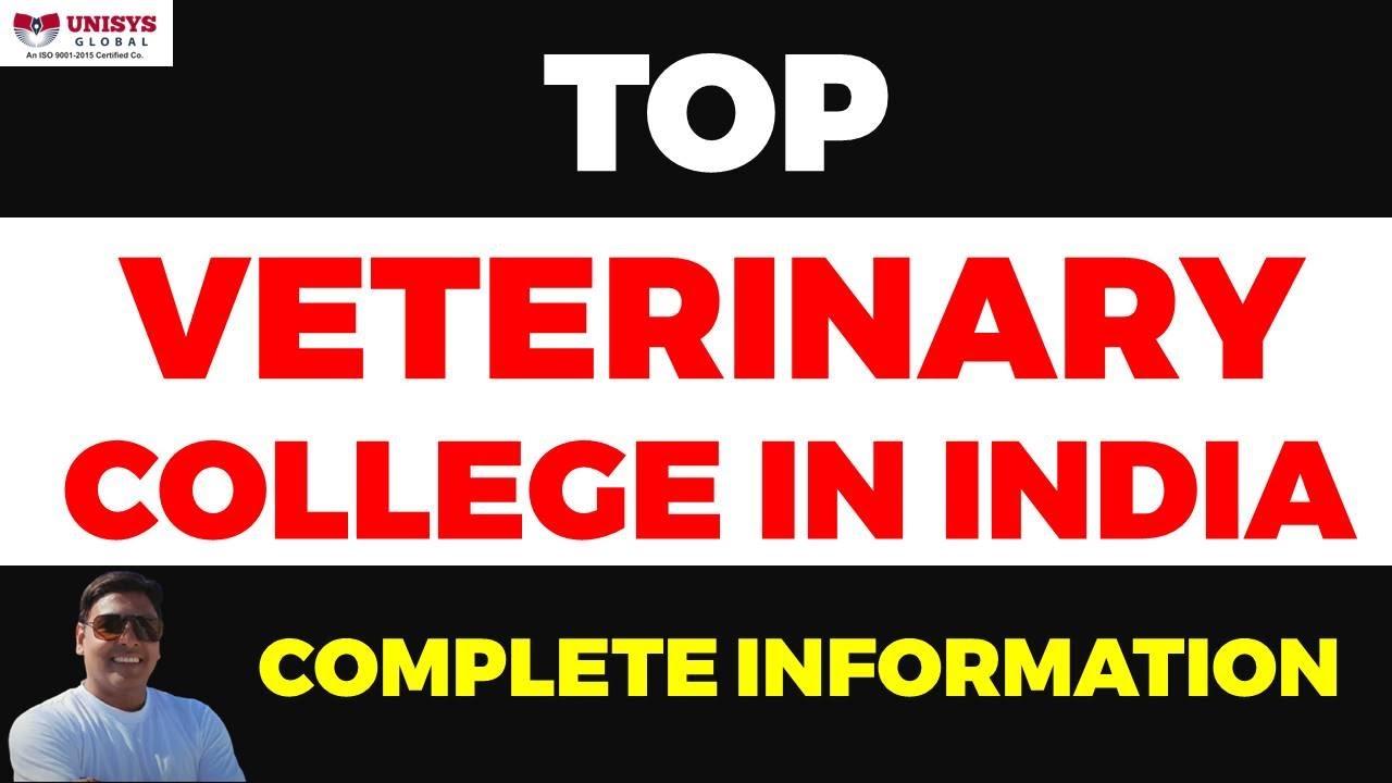Top Veterinary College in India Eligibility, Fee, Admission Process