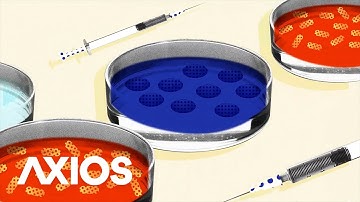 Testing vaccines