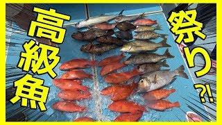 船釣りで最強に釣れるポイントに行く #3