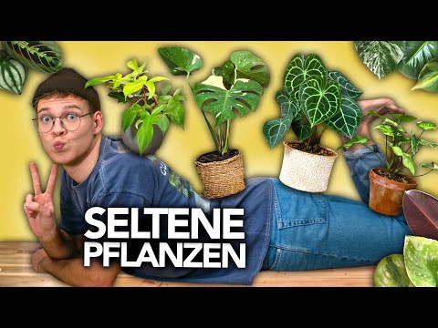 Video: Seltene Pflanzen Und Tiere Von Weißrussland