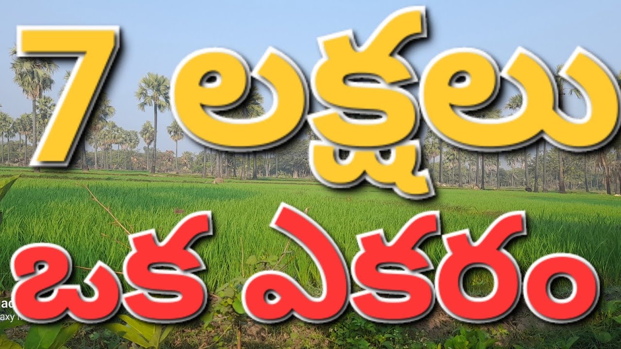 low price agriculture land for sale in telangana 7 lakhs per one acresrrealestategodavarikhani