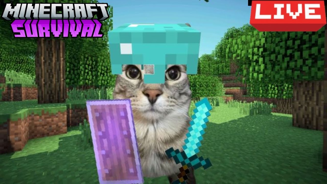 Let's Play Minecraft Together! Join The Server Now! Minecraft Live 🔴 | OsnabYT