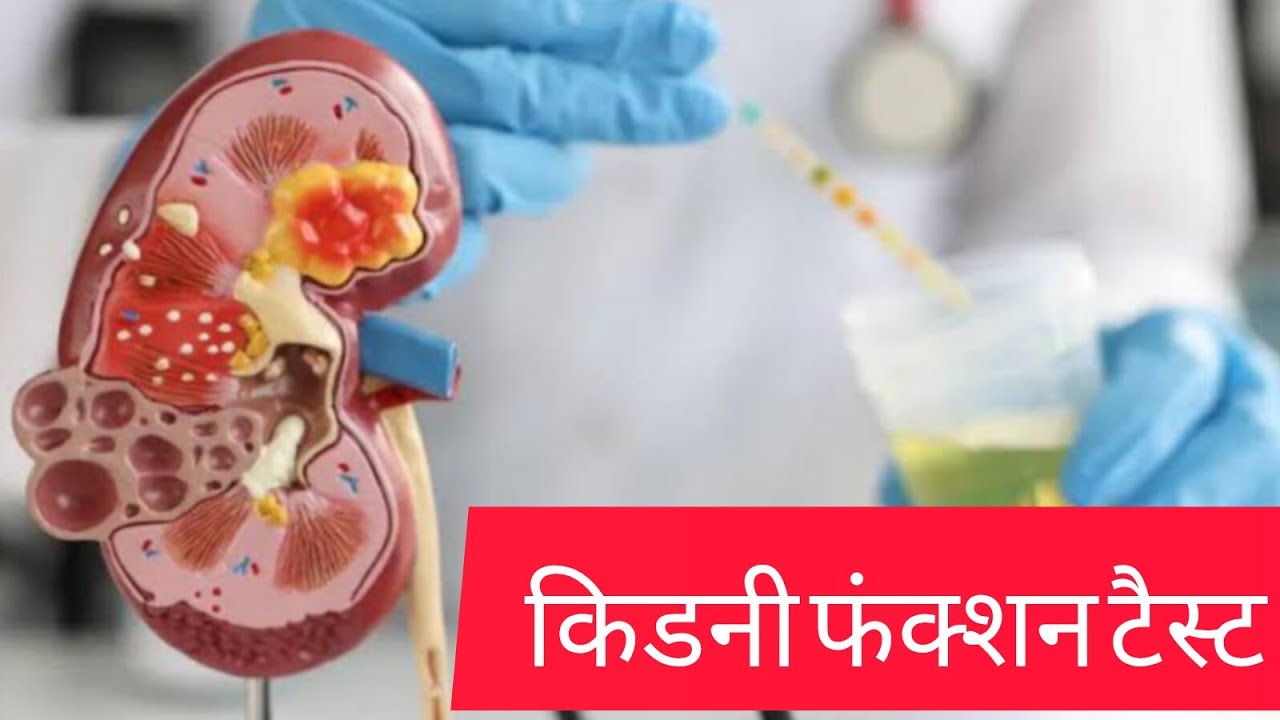 rft-test-in-hindi-renal-function-test-in-hindi-kidney
