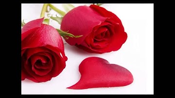 الشيخ عبدالودود حنيف سورة ( البروج )