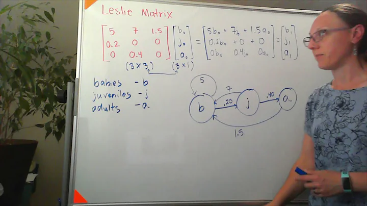 Leslie Matrices - an example calculating future po...
