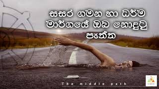 #මැද මාවත# ධර්ම මාර්ගයේ නොදුටු පැති