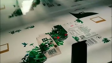 Fully automatic high-speed UV coating machine