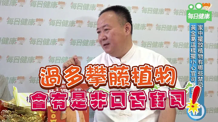 【健康新闻快递】浴室可以放植物吗？黄金葛这样摆容易官司缠身？植物摆设的风水禁忌报你知 - 天天要闻