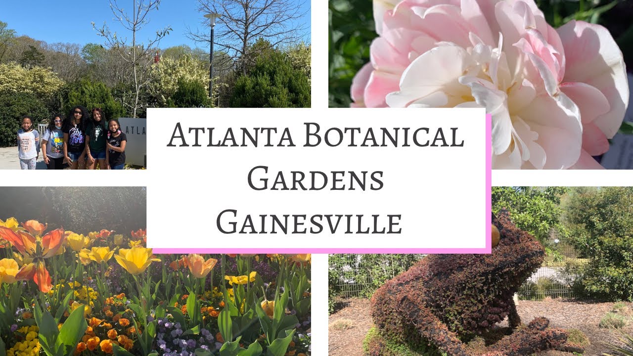 Atlanta Botanical Gardens Gainesville Campus, Family Fun, Day Trip