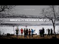 Swedish Lapland stories: Ep.22 — BIRDING IN SWEDISH LAPLAND