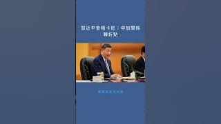 習近平會晤卡尼：中加關係轉折點：華爾街電視快報20251031