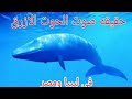 الحوت الازرق على شواطئ مصر صوت الحوت الازرق الذي افرع الناس في مصر وليبيا الحقيقه كامله الحوت الازرق على شواطئ مصر صوت الحوت الازرق الذي افرع الناس في مصر وليبيا الحقيقه كامله