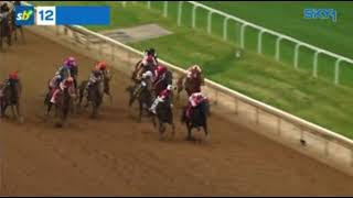GOLDEN TEMPO | 152nd KENTUCKY DERBY GROUP 1 2026
