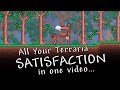 All Your Terraria SATISFACTION in One Video...