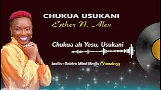 Esther N. Alex - Chukua Usukani Visual audio ( lyrics video)