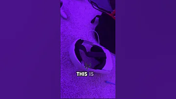 This Is A Three Second Song Vr Gorillatag Shorts Viral 