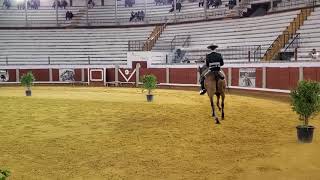 Fernando Rubio jinete de Pedroche en Espectáculo Ecuestre Pozoblanco by El Quincenal de Los Pedroches 221 views 3 weeks ago 8 minutes, 31 seconds